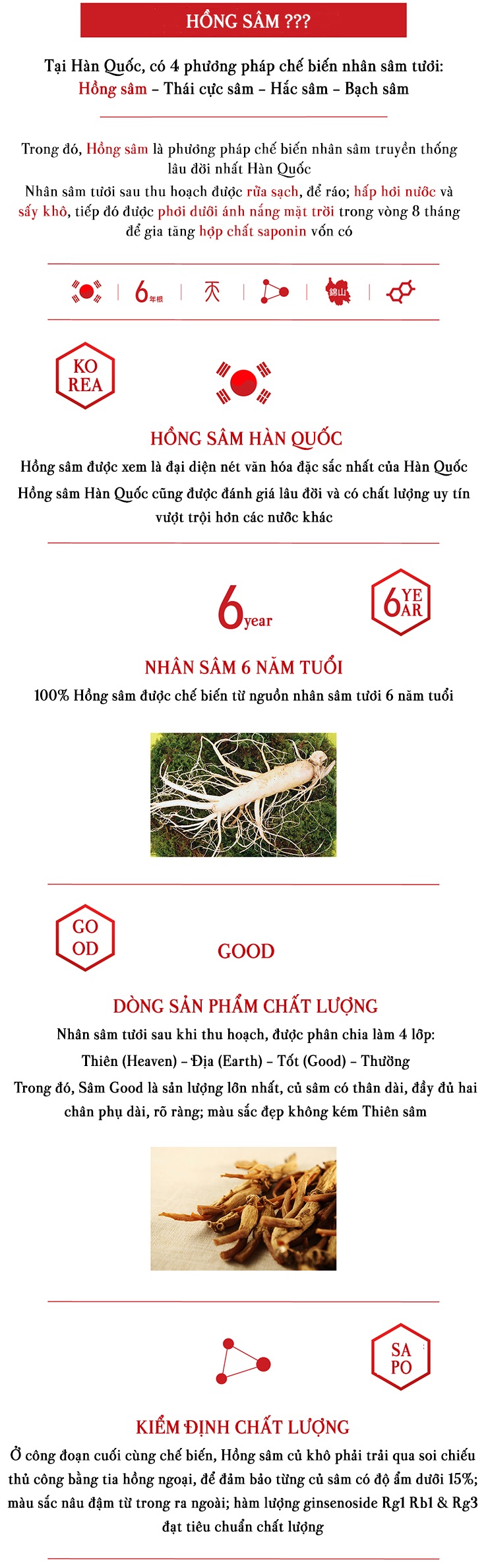 Hồng sâm củ khô HQ Good 600g – số 30 (38 củ)