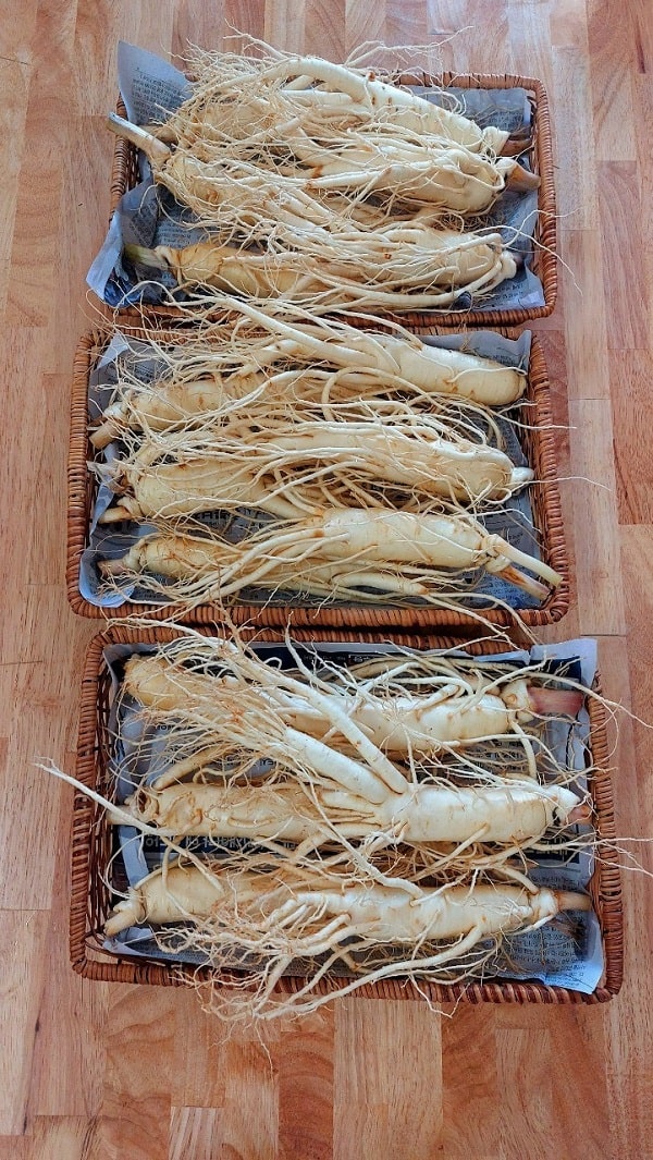 Sâm tươi 7 củ