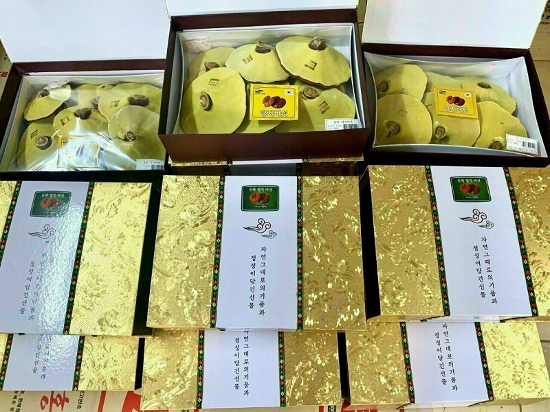 Nấm linh chi 2500