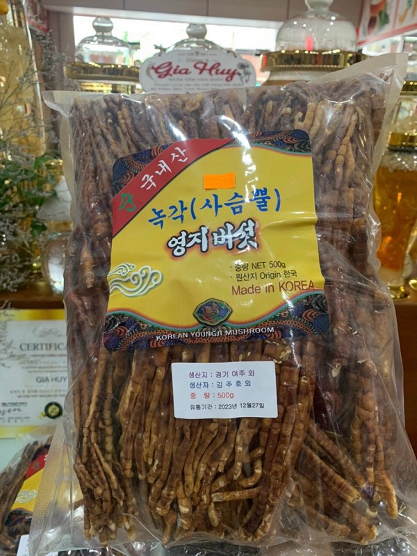 Nấm Sừng hươu Hàn Quốc